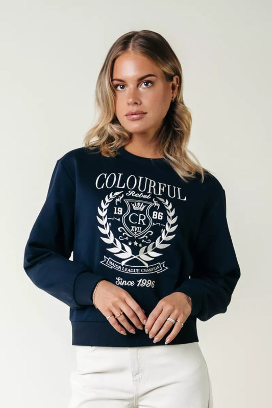 COLORFUL REBEL College 1986 Embro Relaxed Sweat