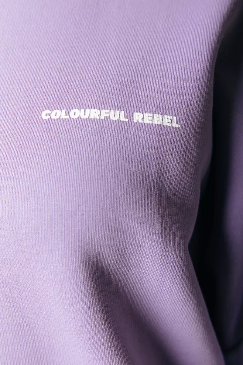 COLORFUL REBEL Multi Racer Logos Dropped Shoulder Sweat